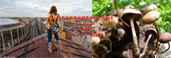альфа пвп VHQ Верхний Тагил